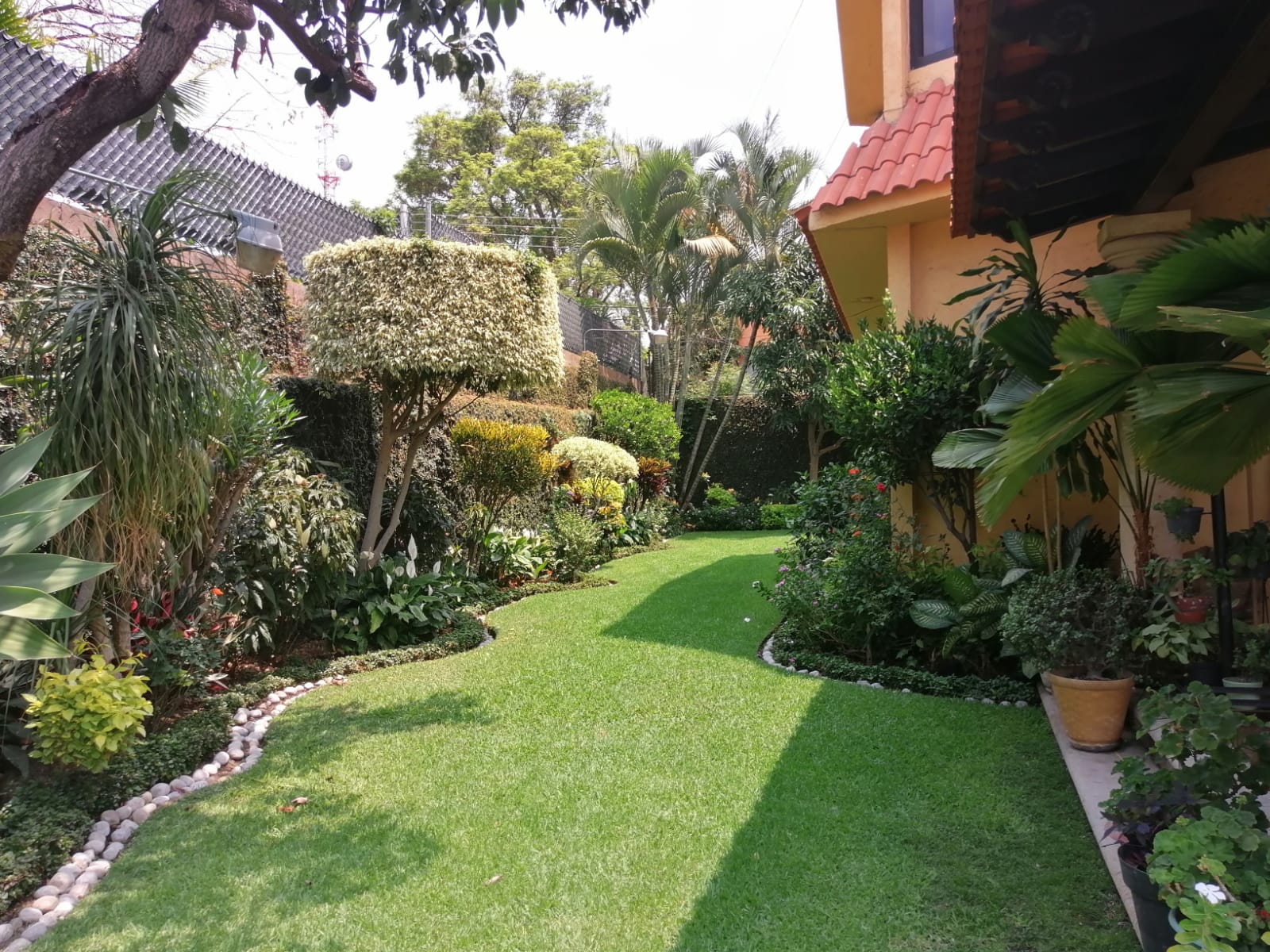 Sra. Medellin.com