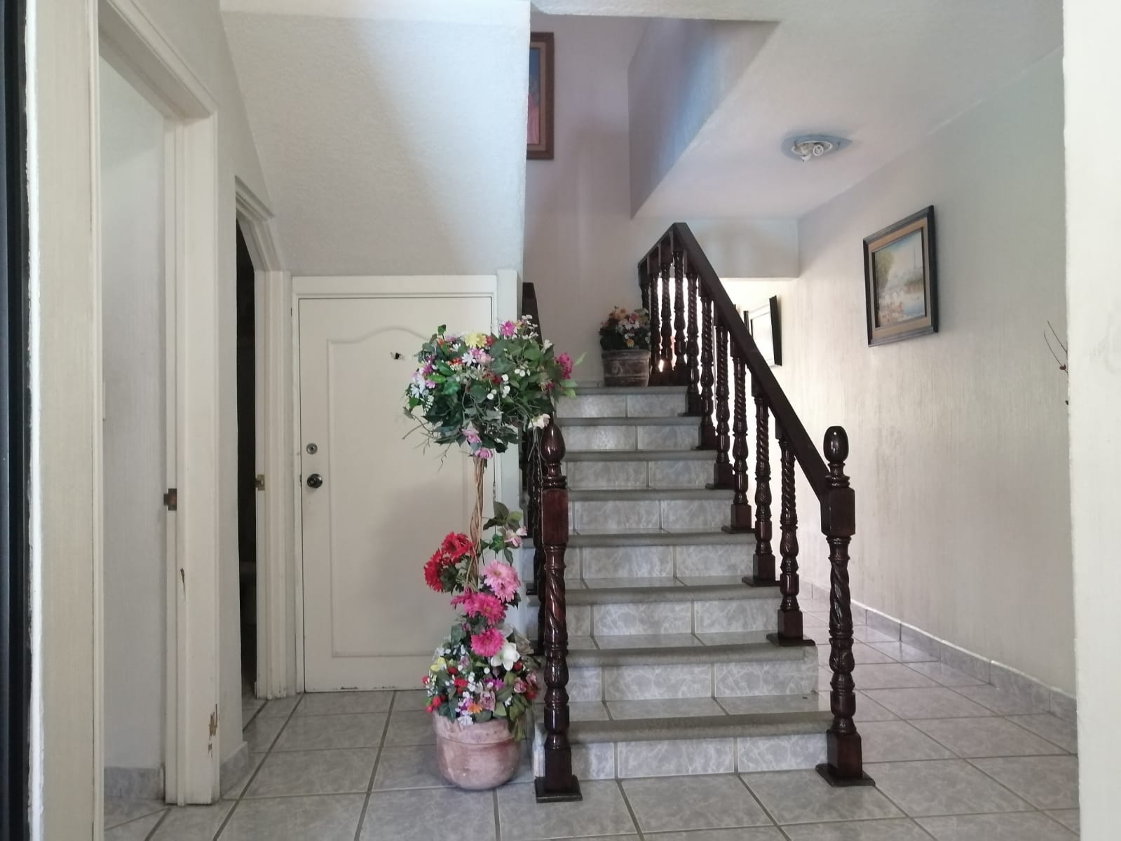Sra. Medellin.com