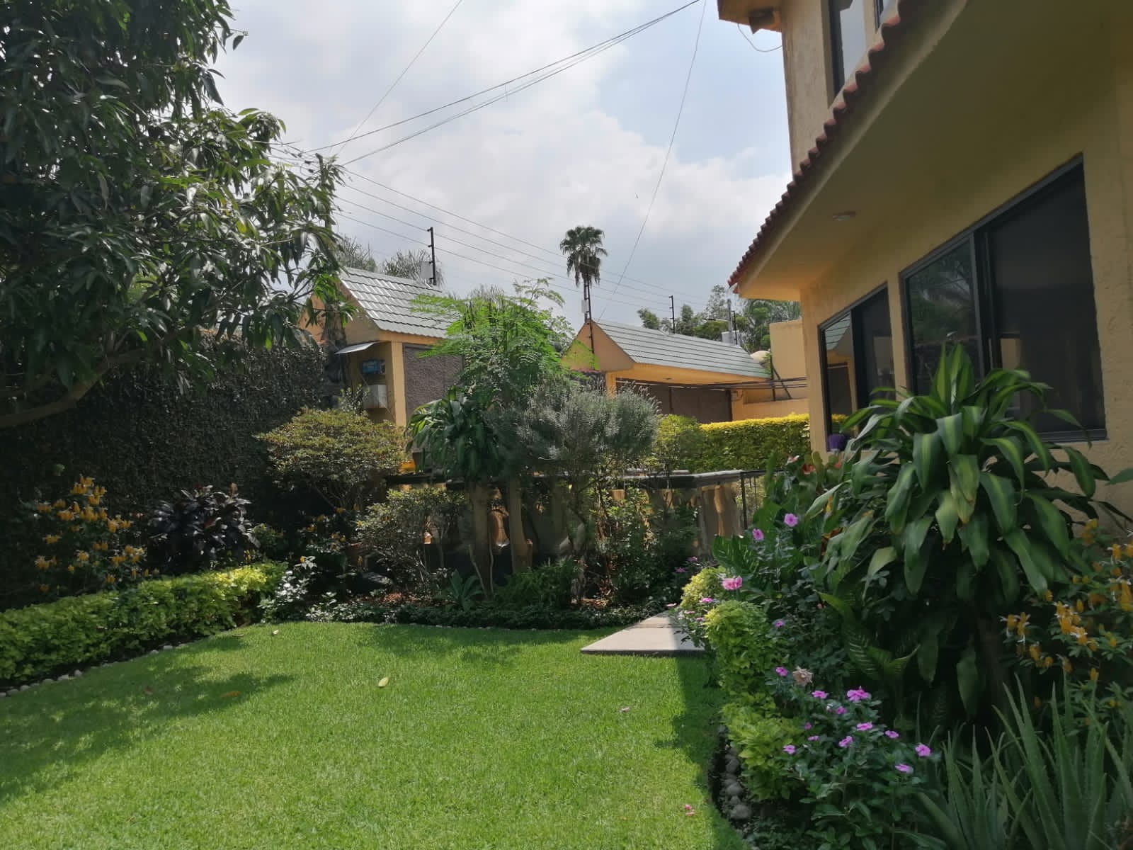 Sra. Medellin.com