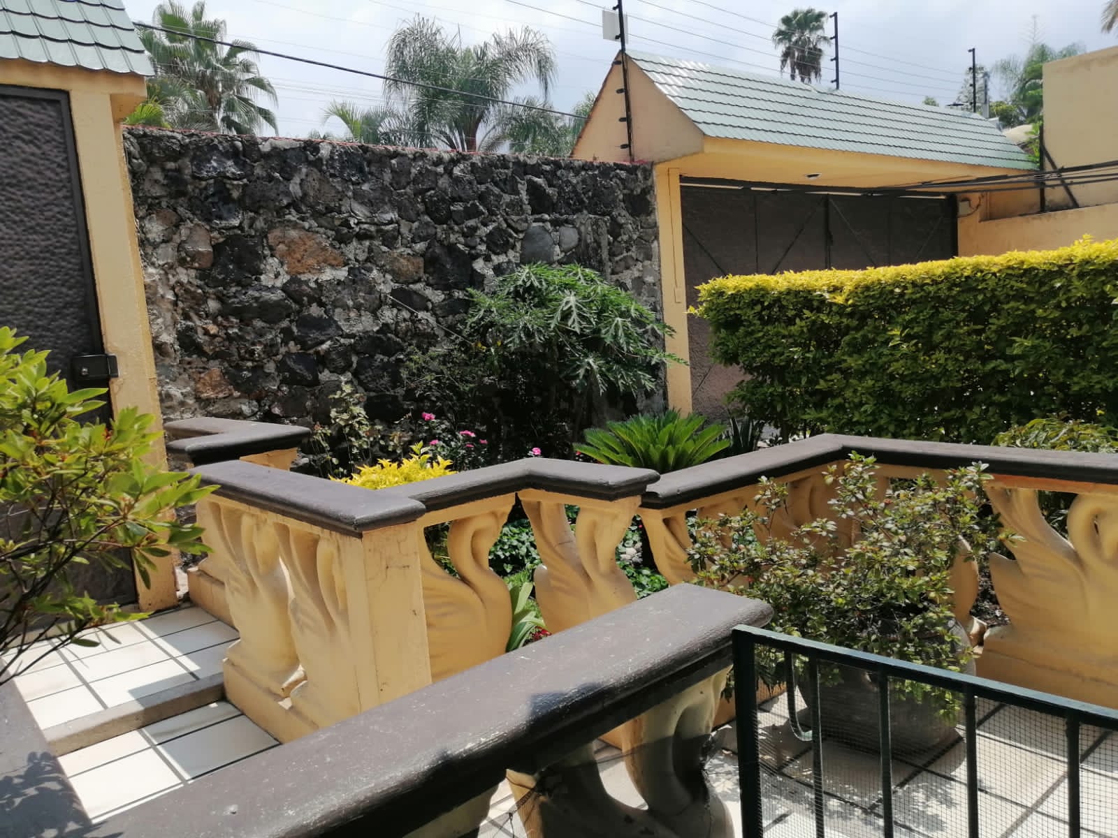 Sra. Medellin.com