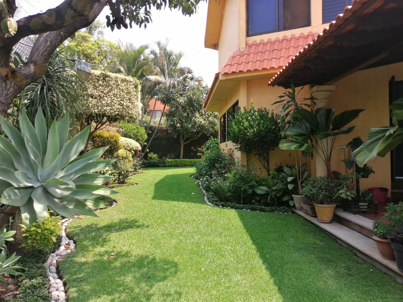 Sra. Medellin.com