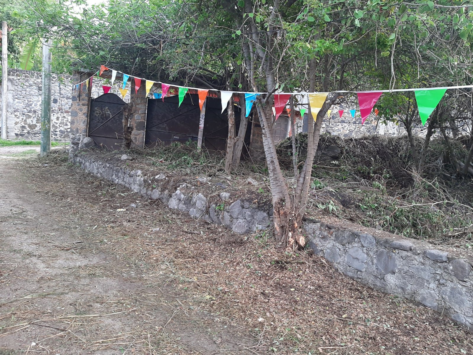 Sra. Medellin.com