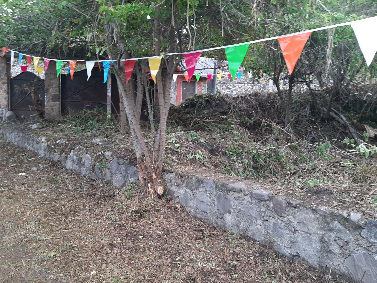 Sra. Medellin.com