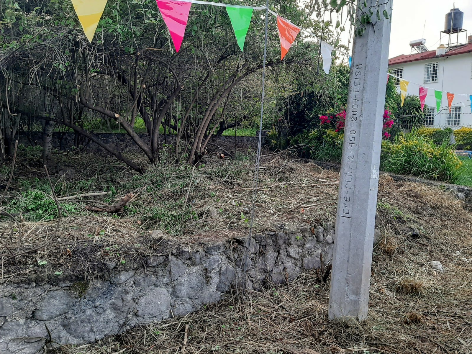 Sra. Medellin.com