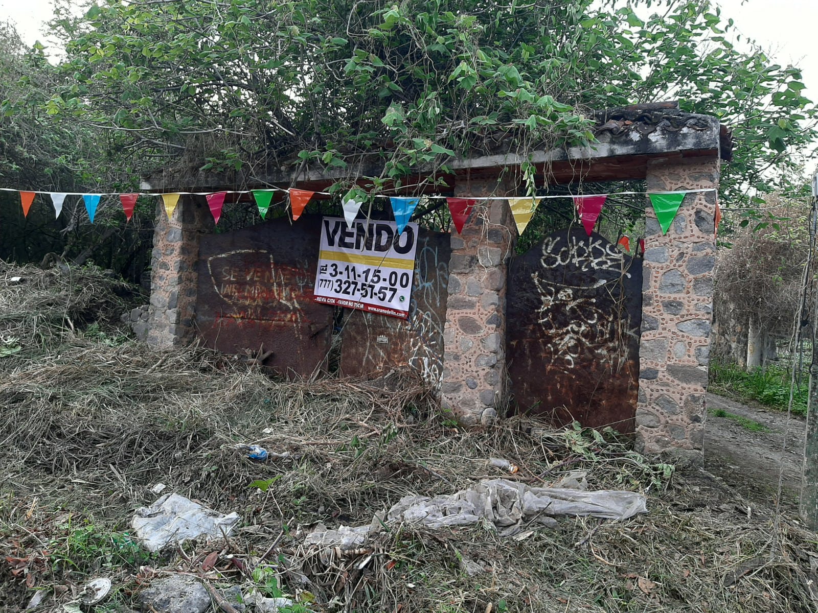 Sra. Medellin.com