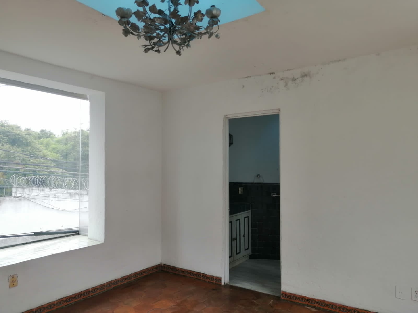 Sra. Medellin.com