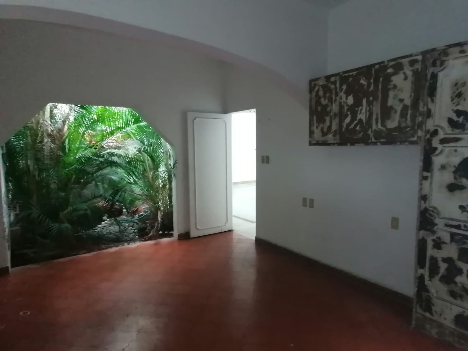 Sra. Medellin.com