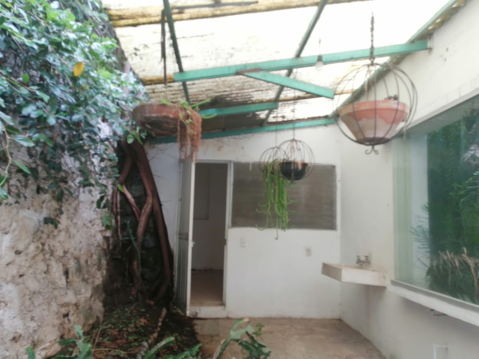 Sra. Medellin.com
