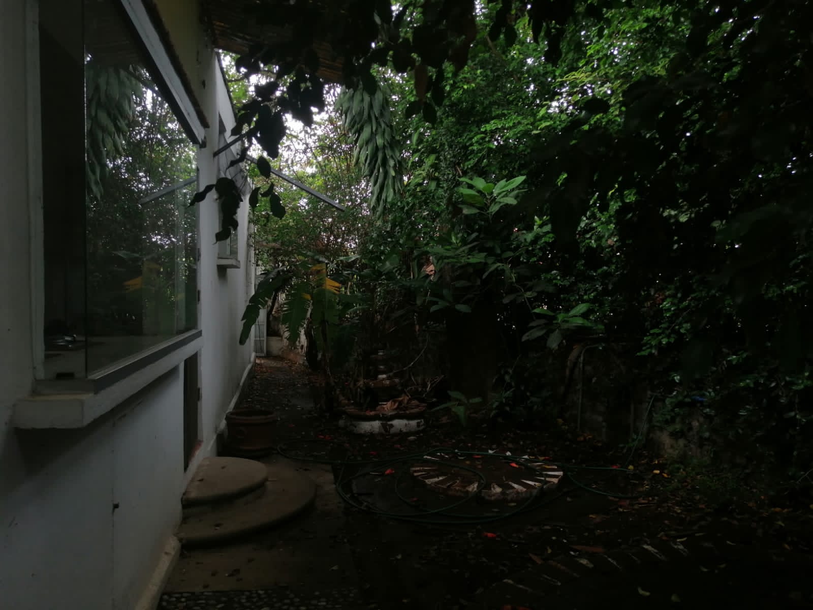 Sra. Medellin.com