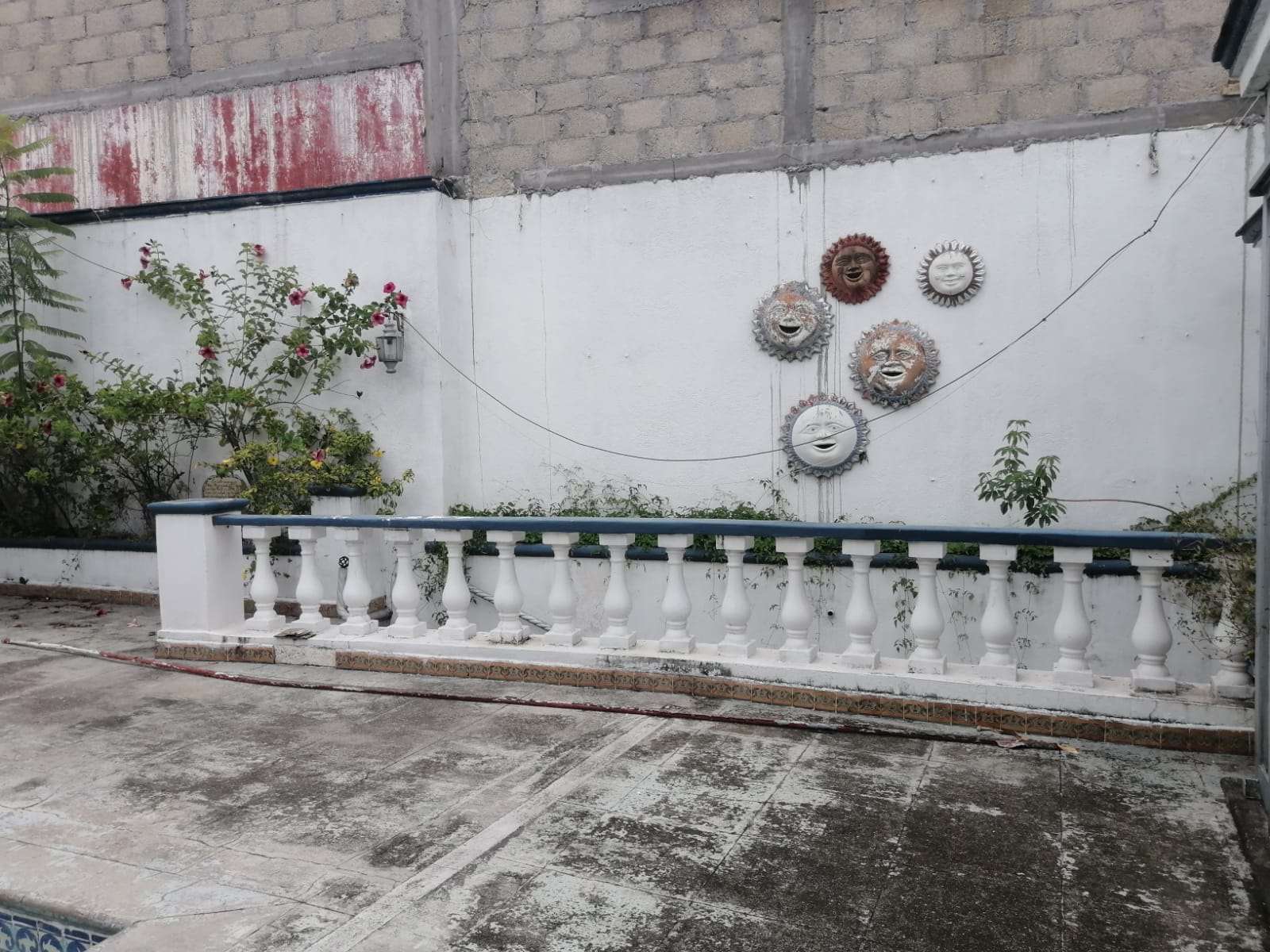 Sra. Medellin.com