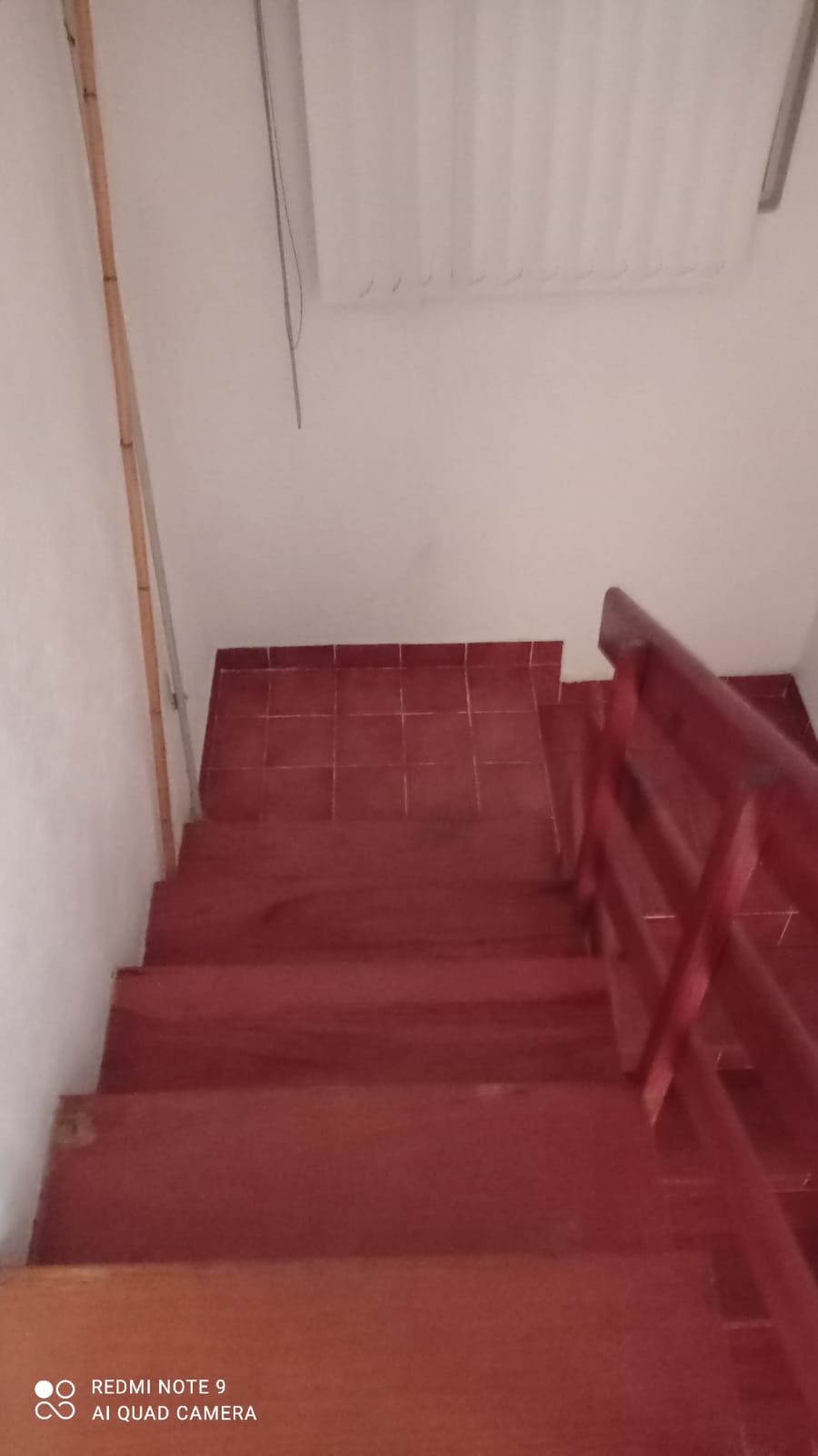 Sra. Medellin.com