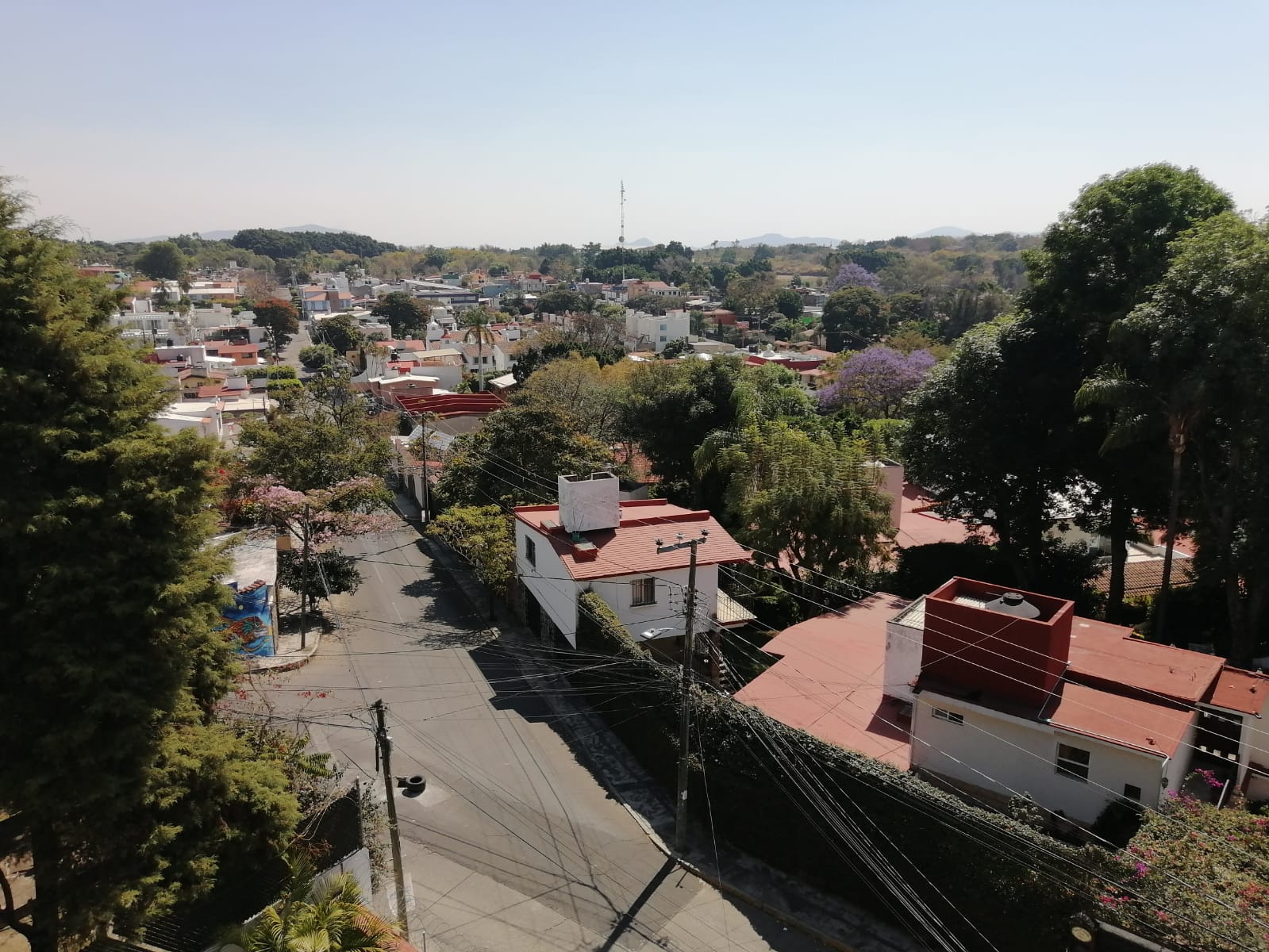 Sra. Medellin.com