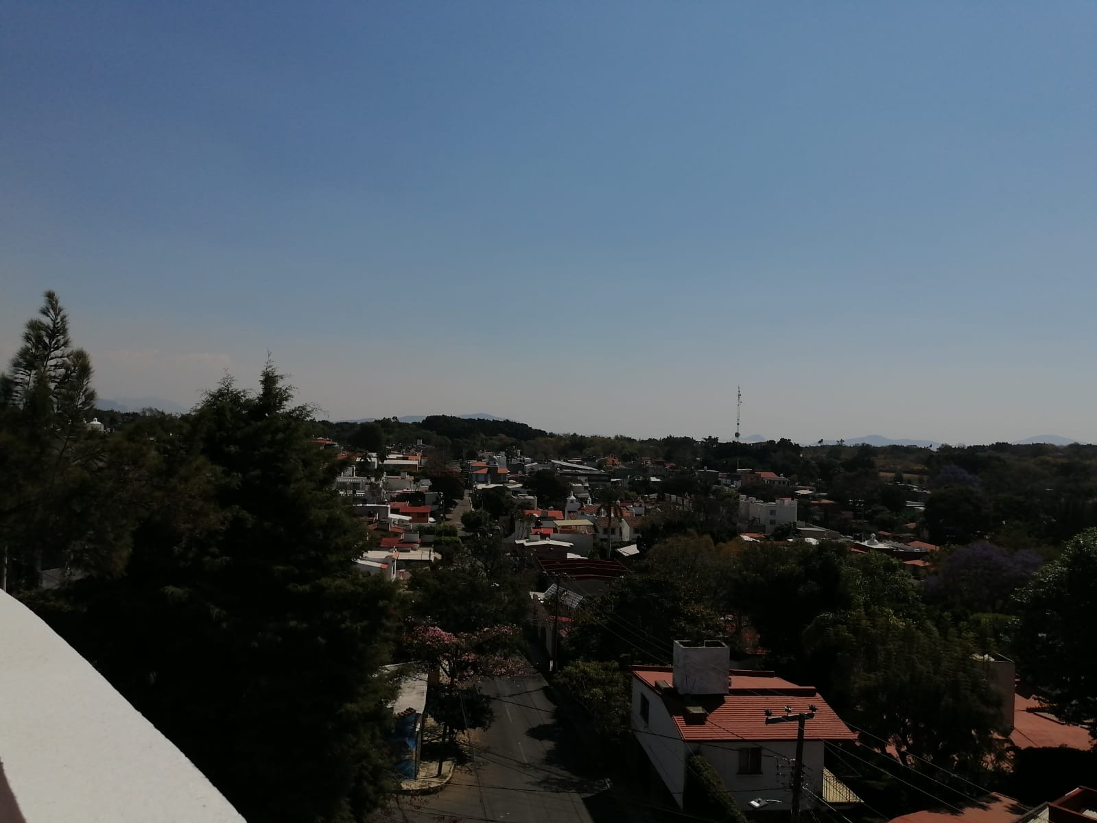 Sra. Medellin.com