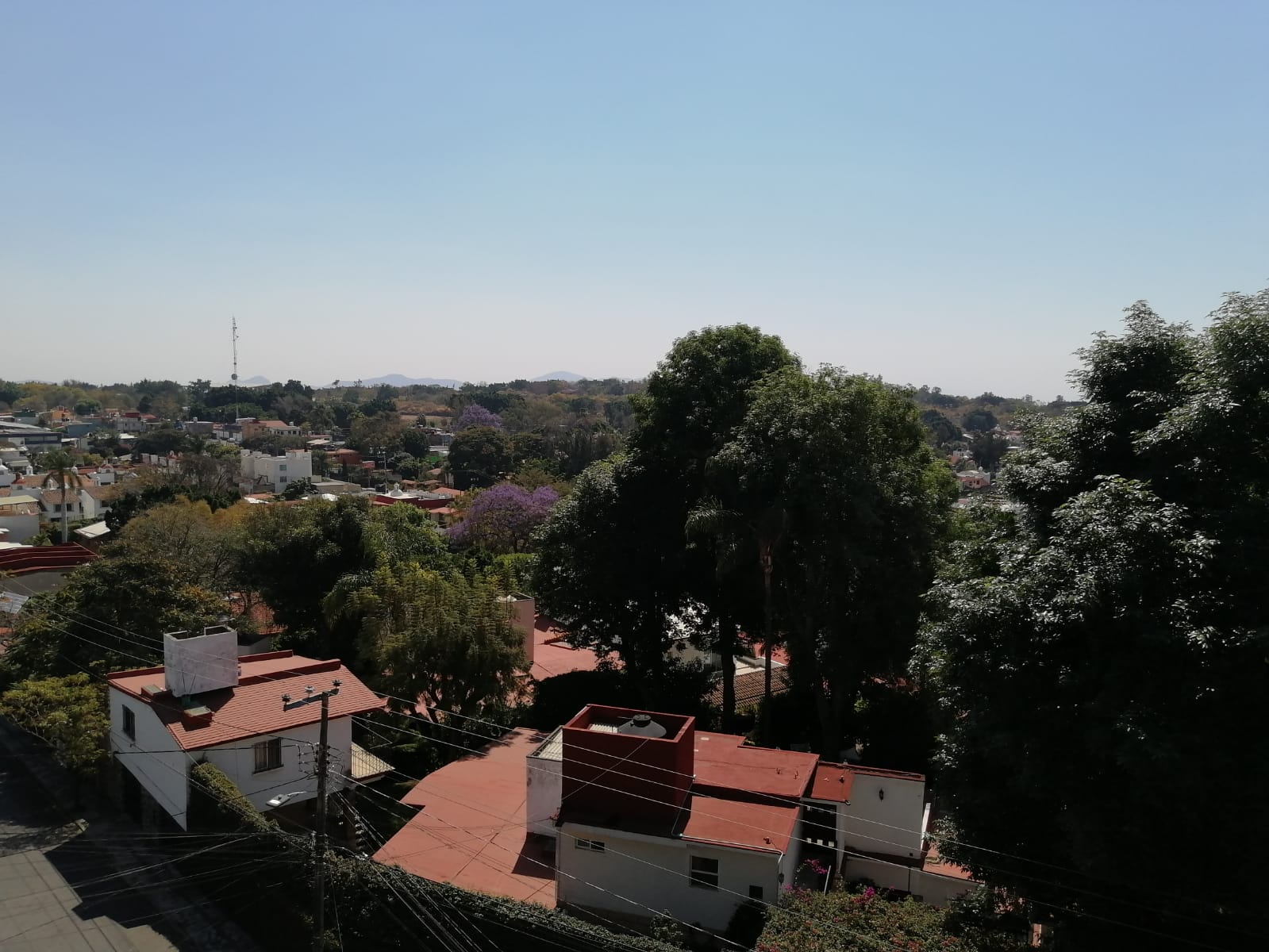 Sra. Medellin.com