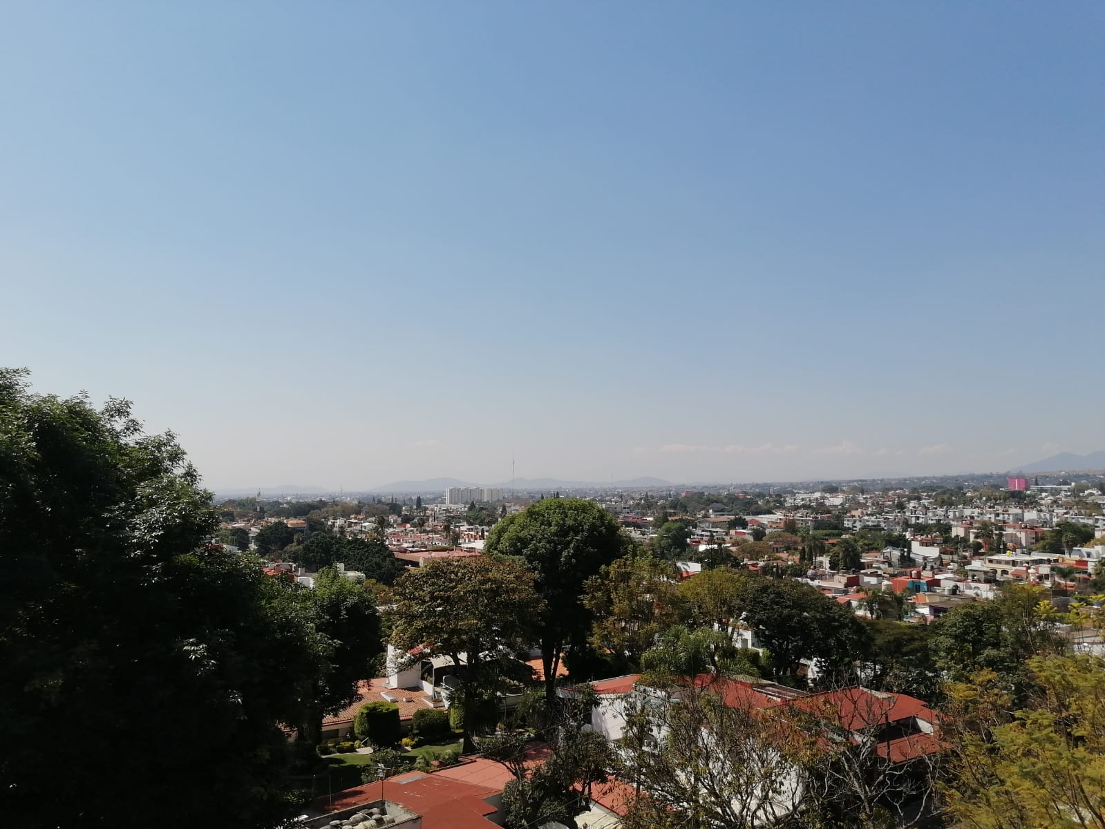 Sra. Medellin.com