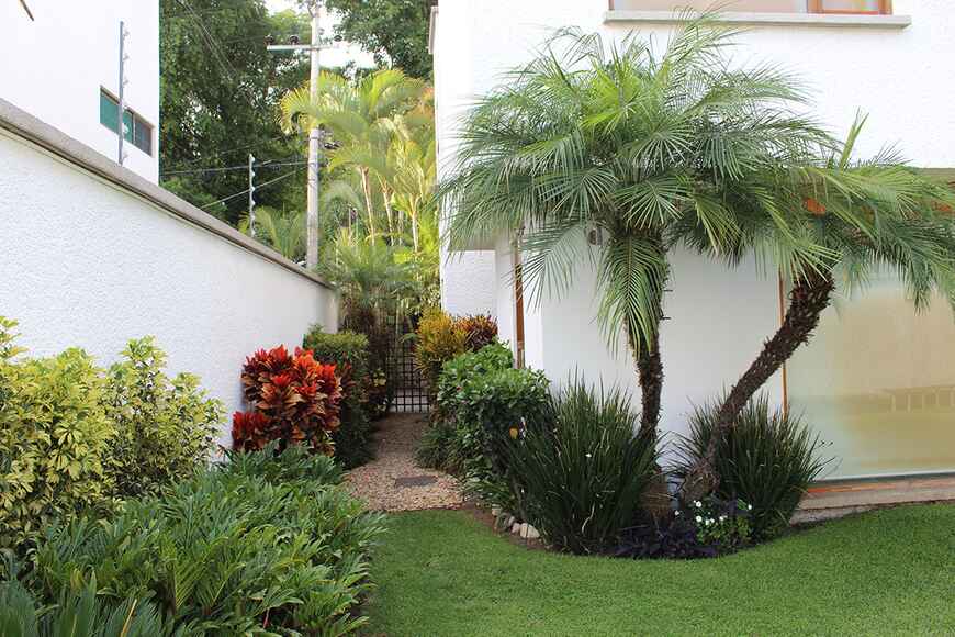 Sra. Medellin.com