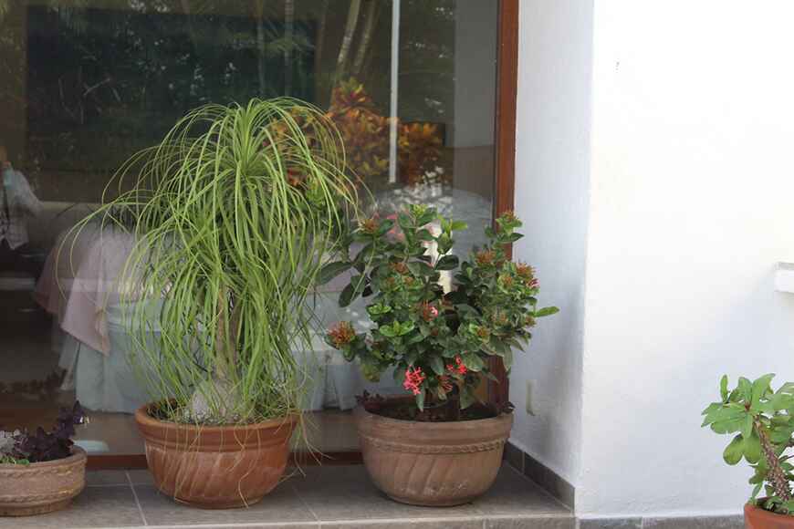 Sra. Medellin.com