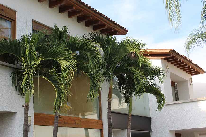 Sra. Medellin.com