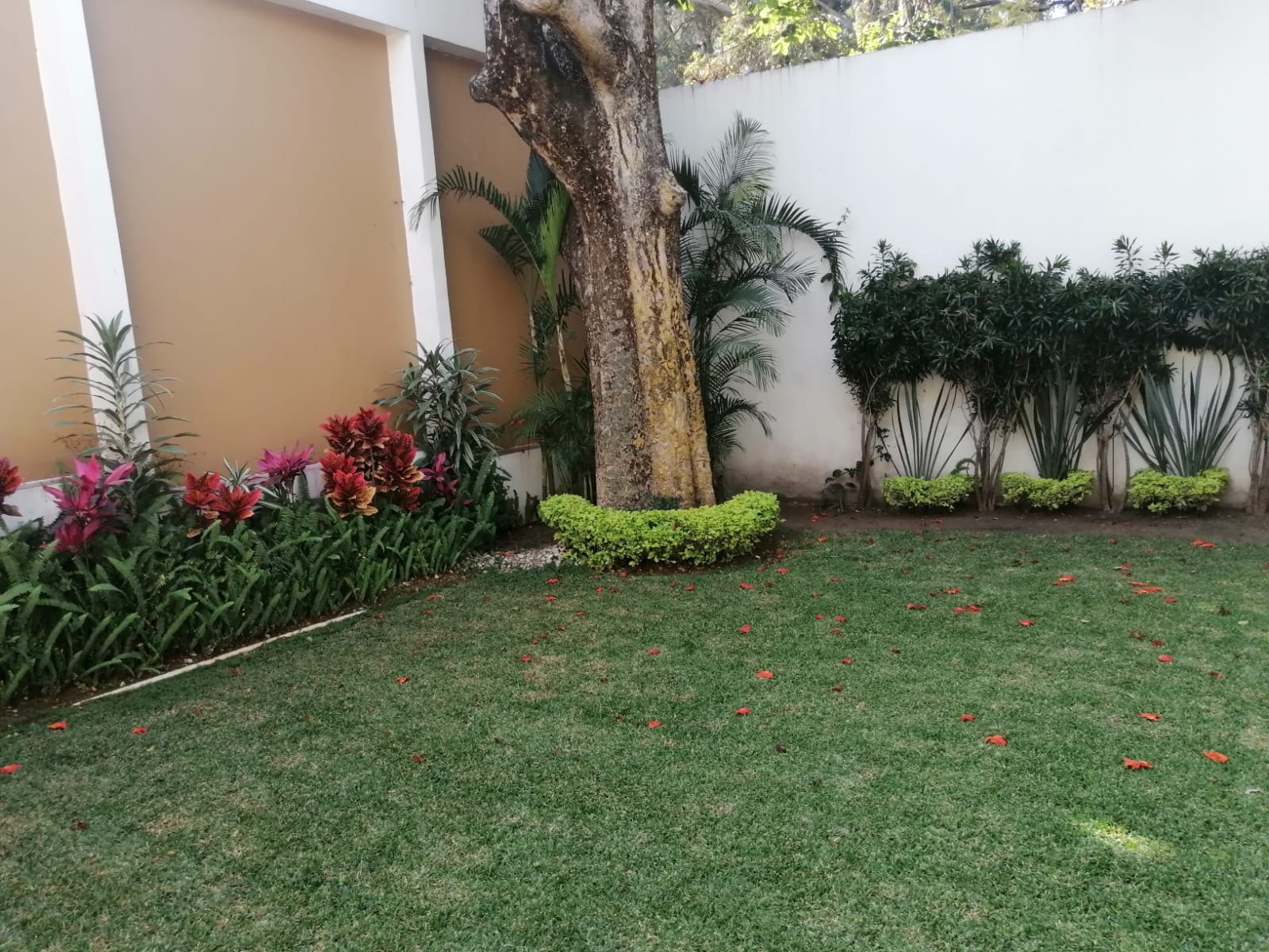 Sra. Medellin.com