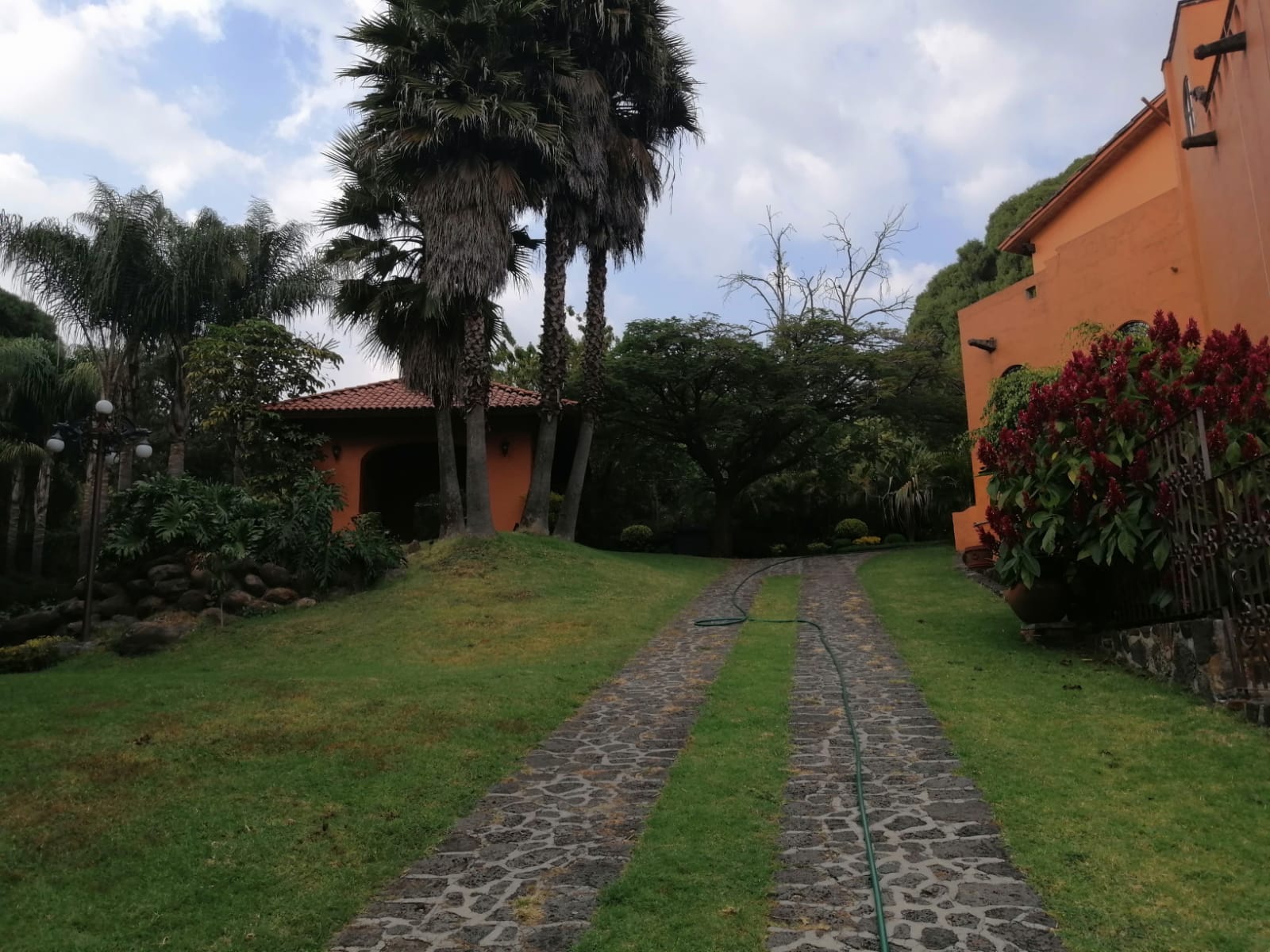 Sra. Medellin.com