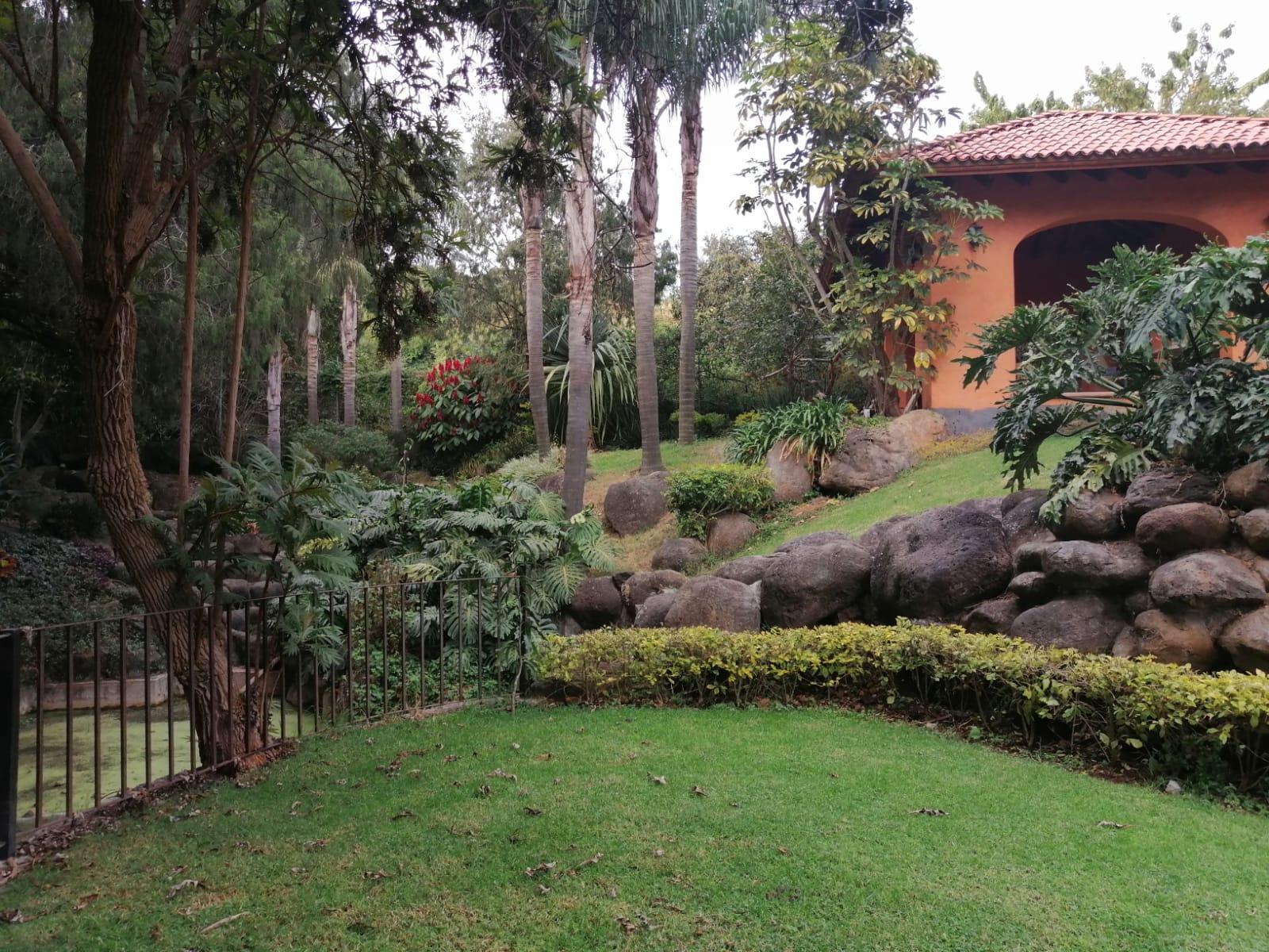 Sra. Medellin.com
