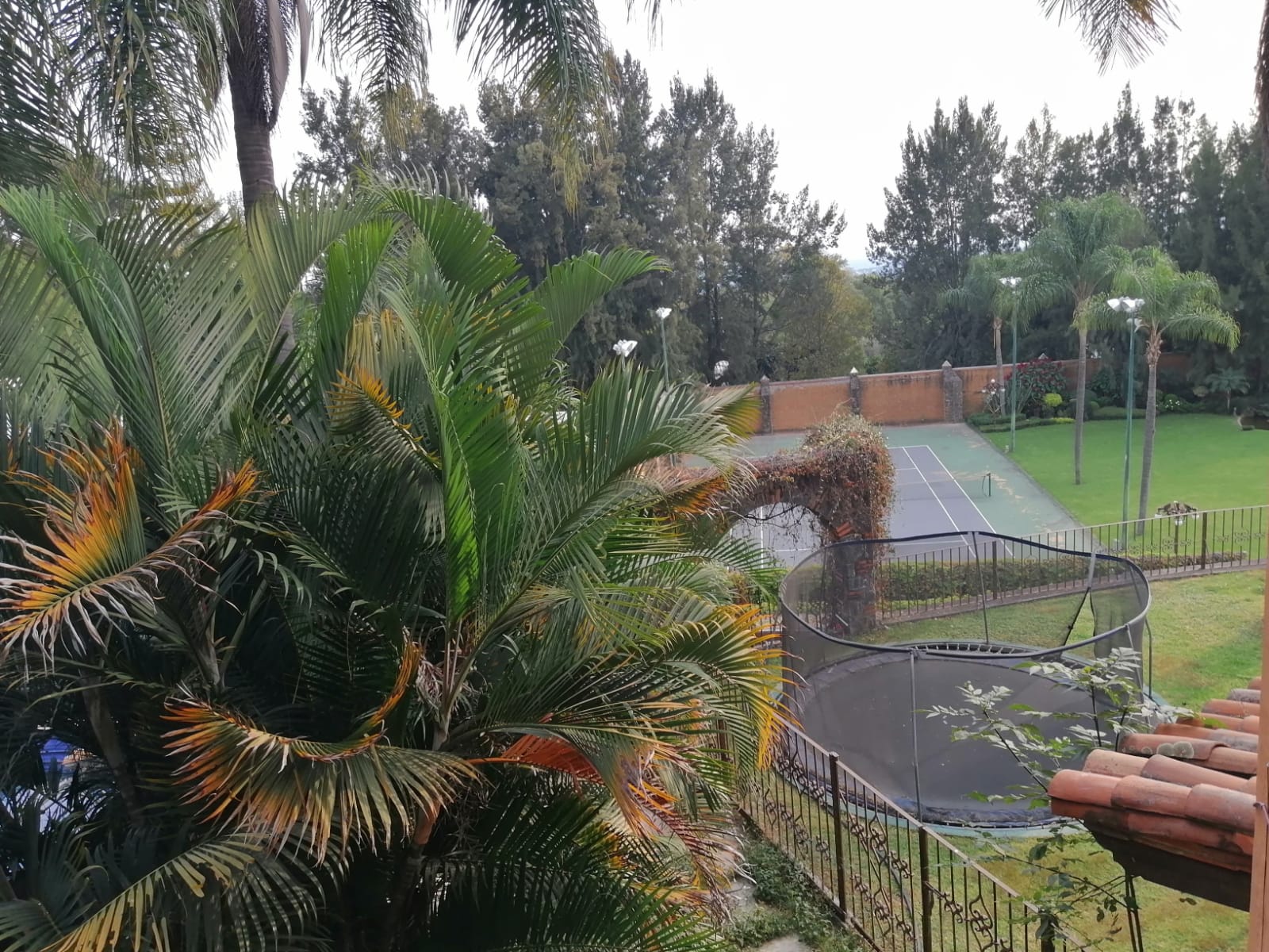 Sra. Medellin.com