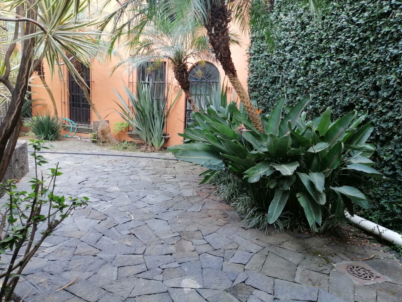 Sra. Medellin.com