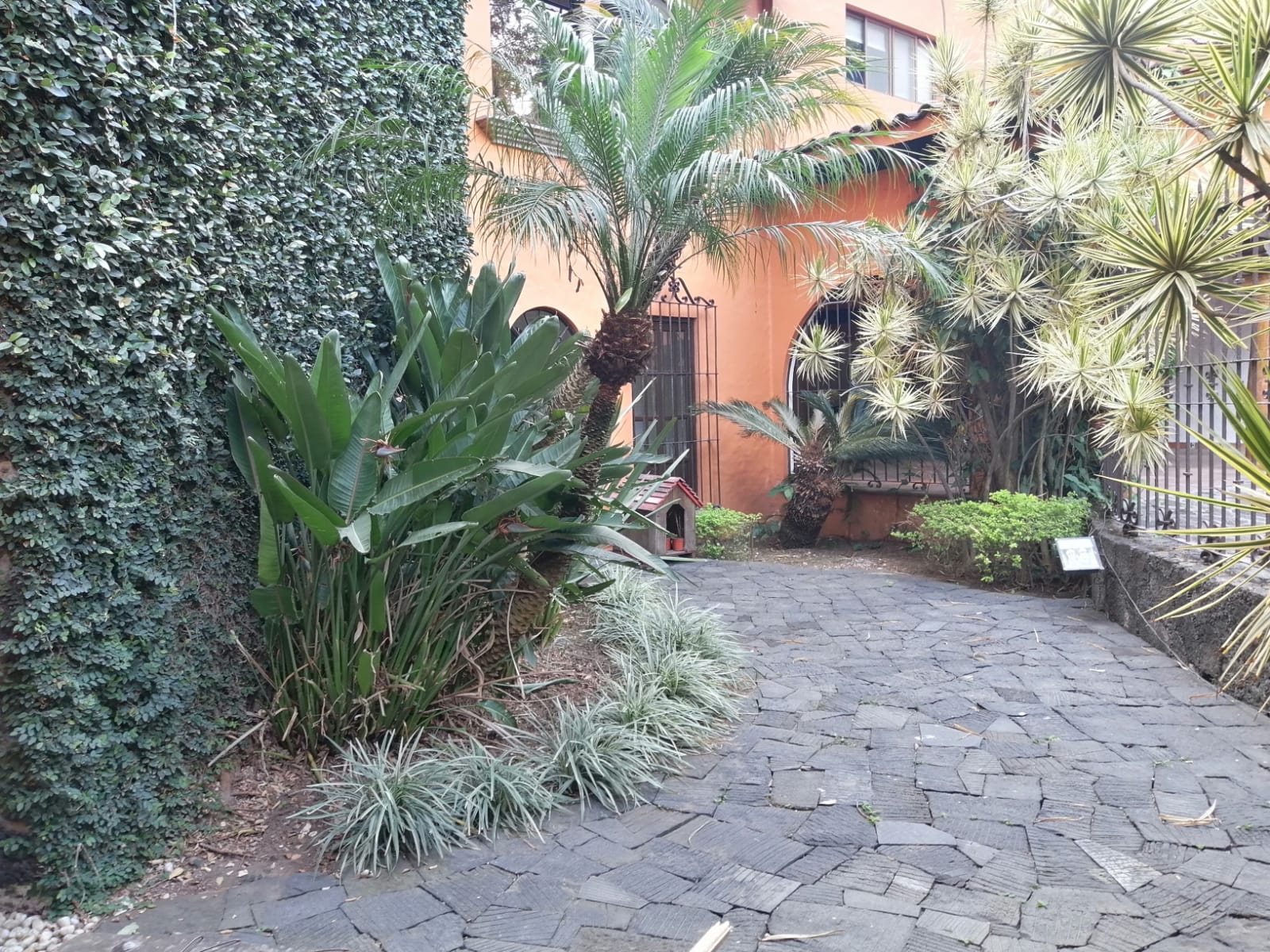 Sra. Medellin.com