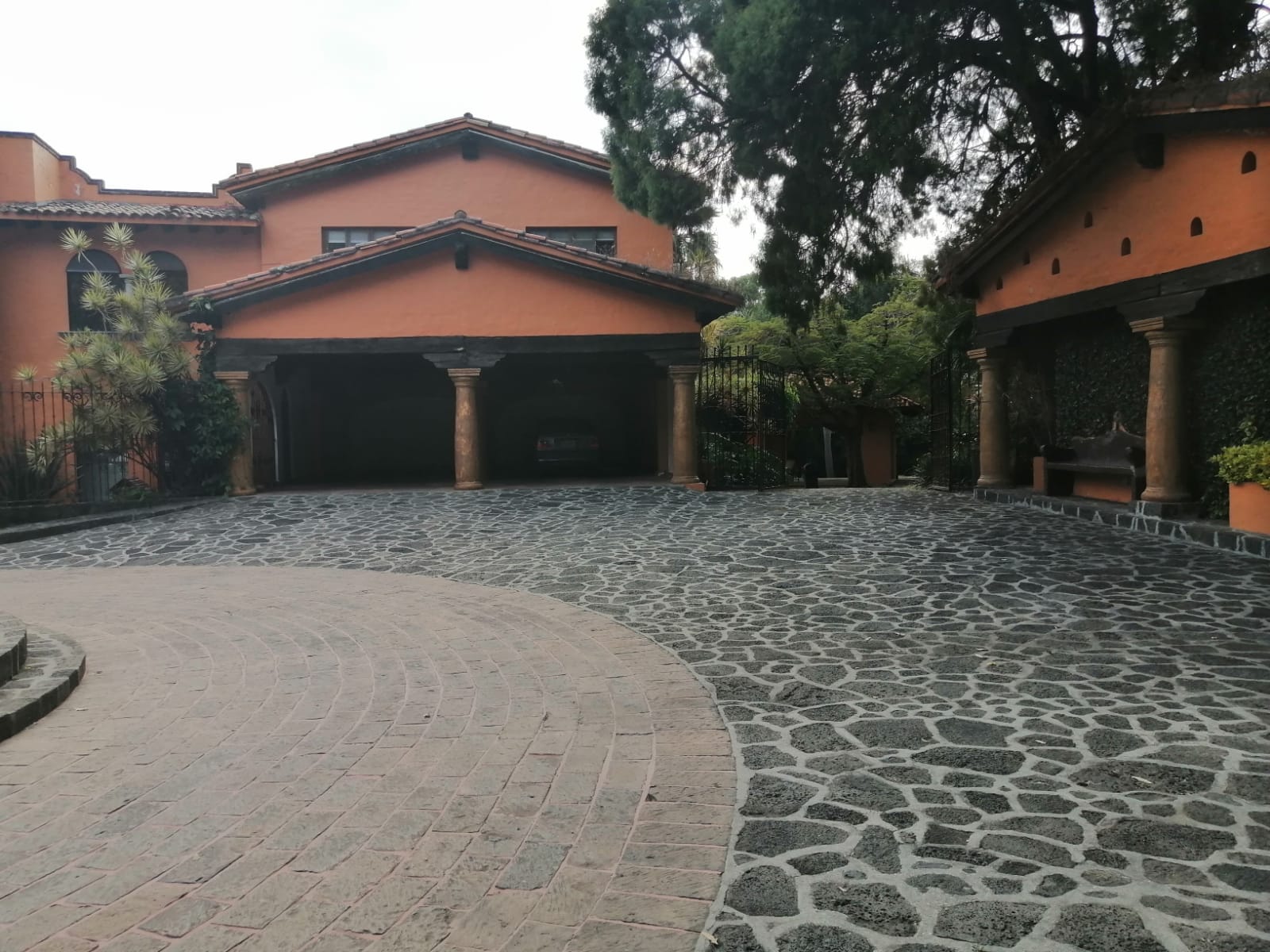 Sra. Medellin.com
