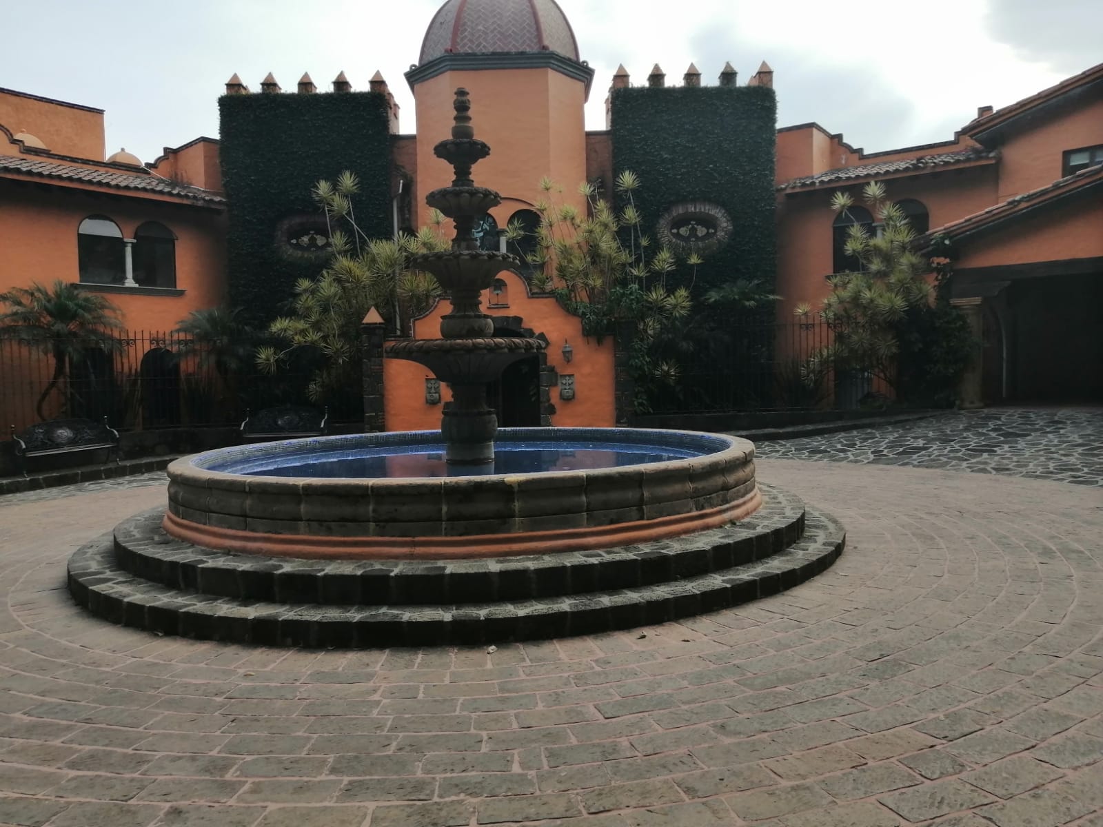 Sra. Medellin.com