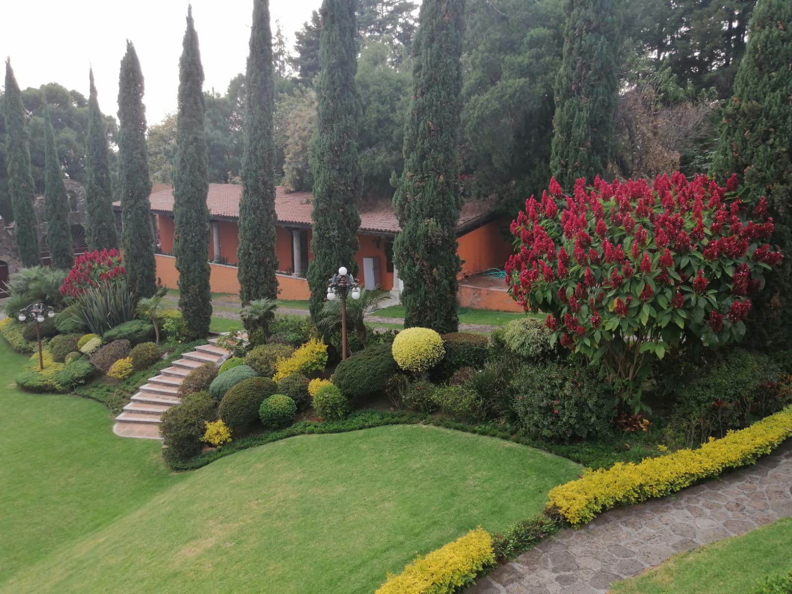 Sra. Medellin.com