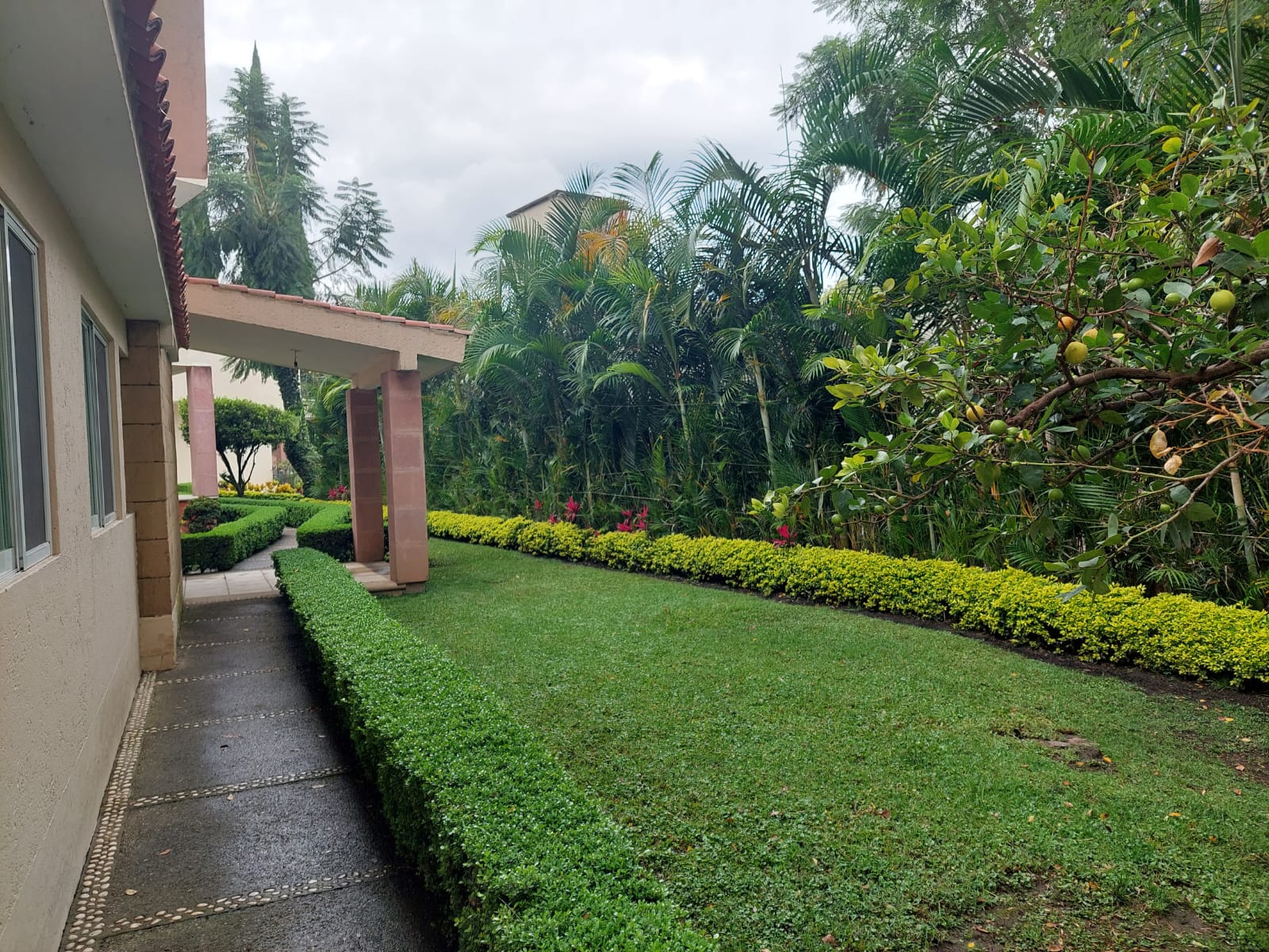 Sra. Medellin.com