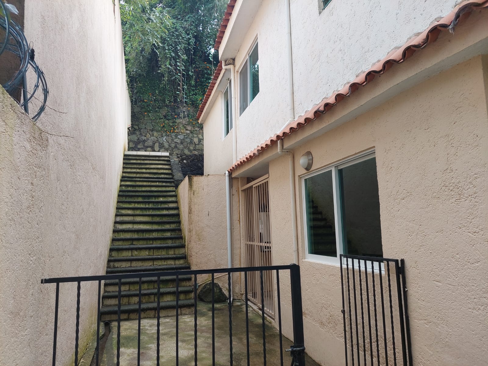 Sra. Medellin.com