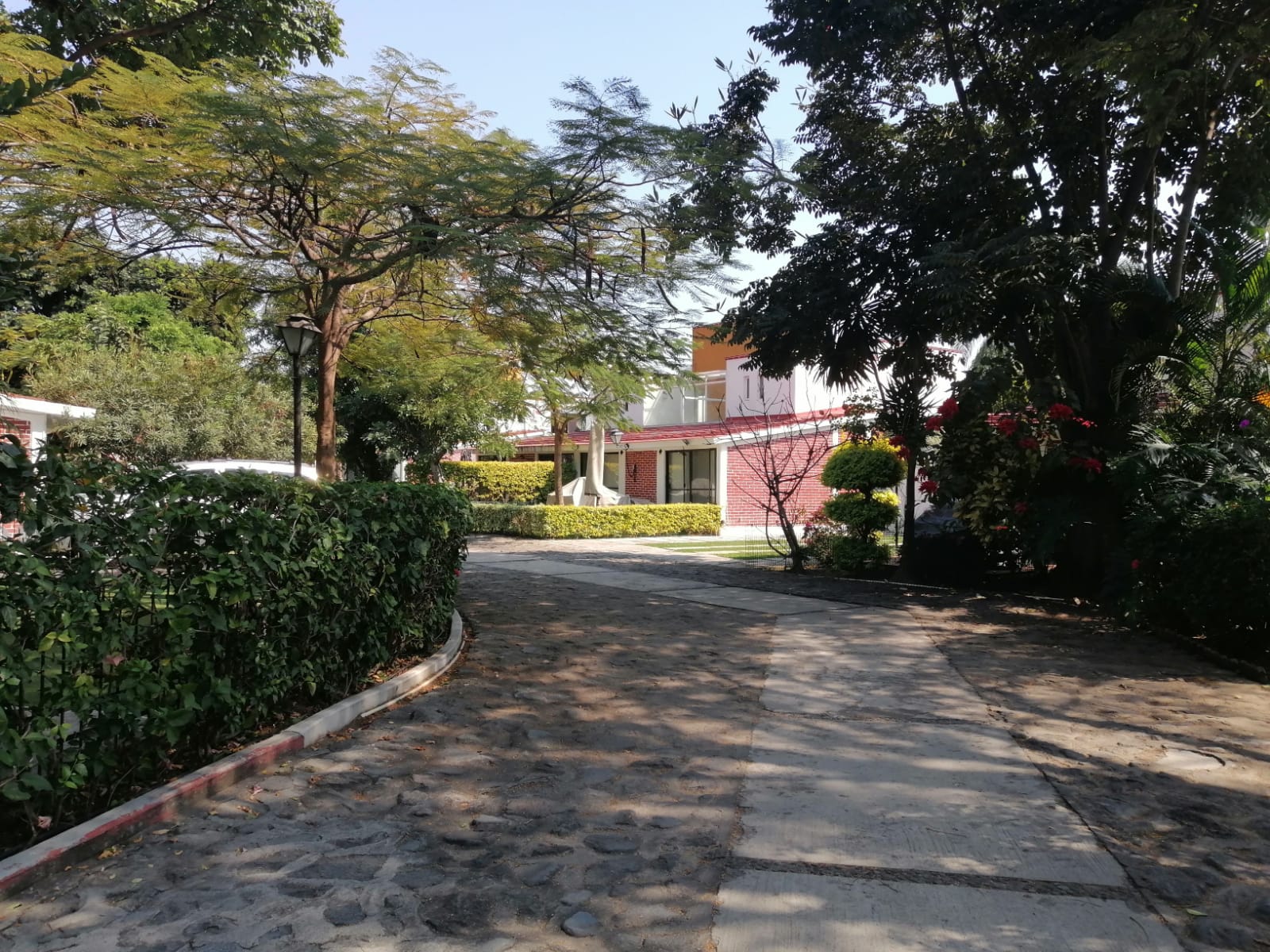 Sra. Medellin.com