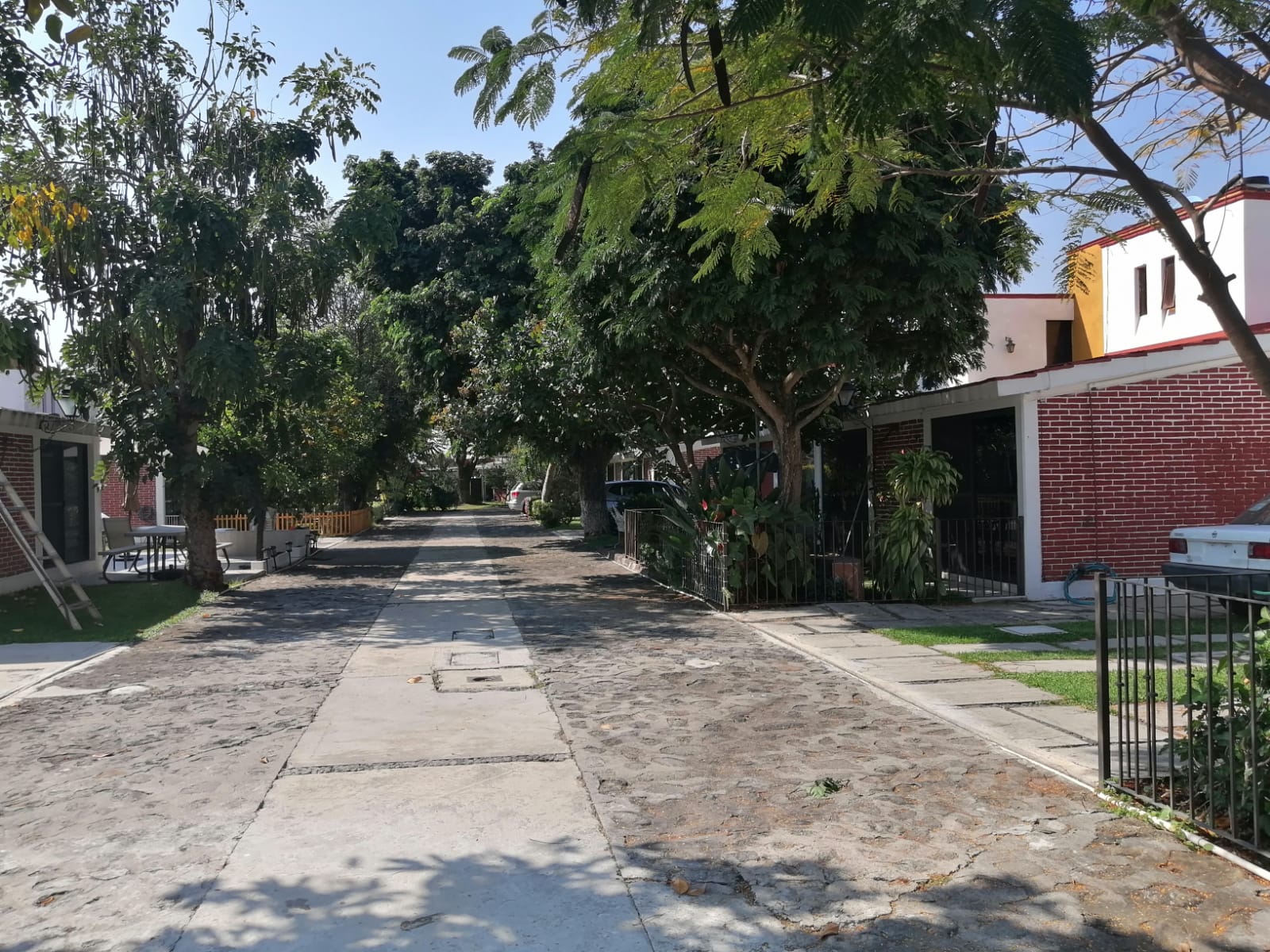 Sra. Medellin.com