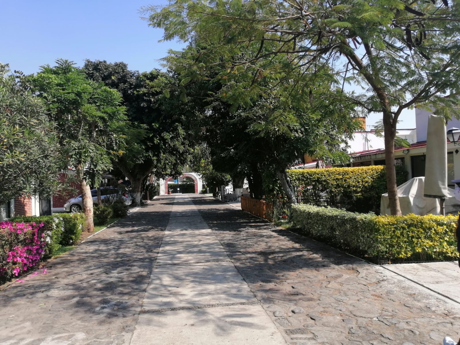 Sra. Medellin.com