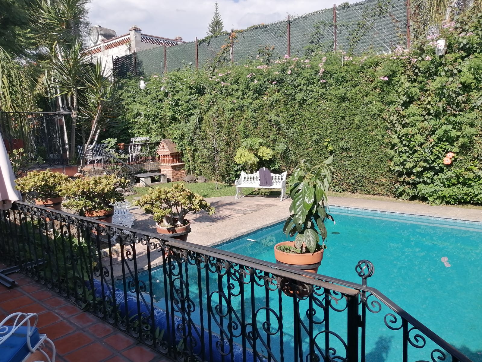 Sra. Medellin.com