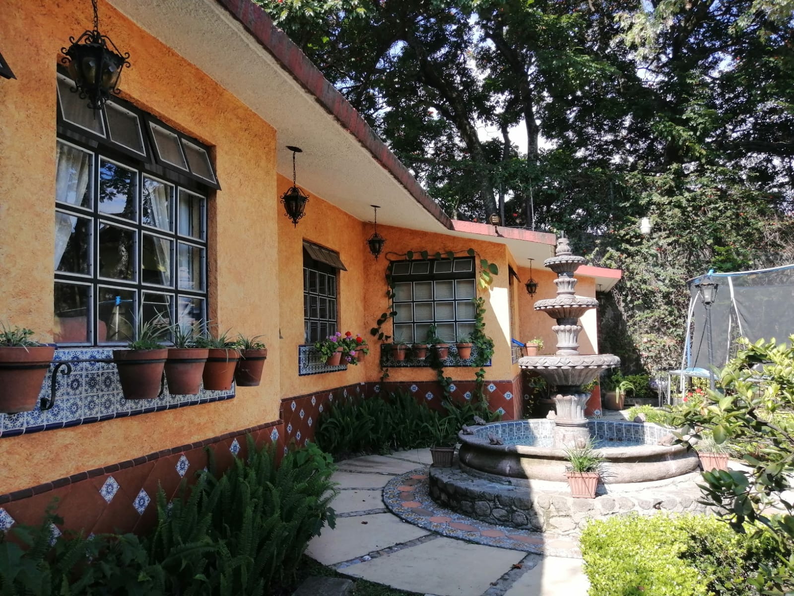 Sra. Medellin.com
