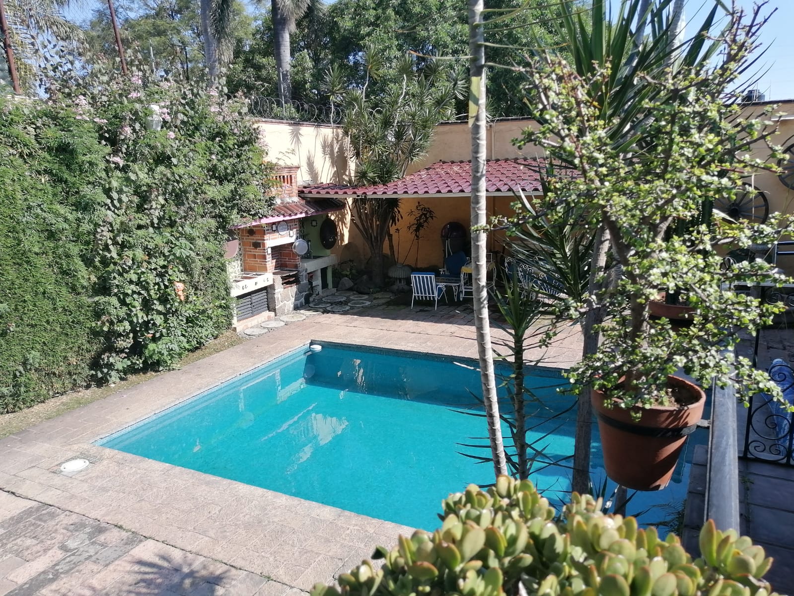 Sra. Medellin.com