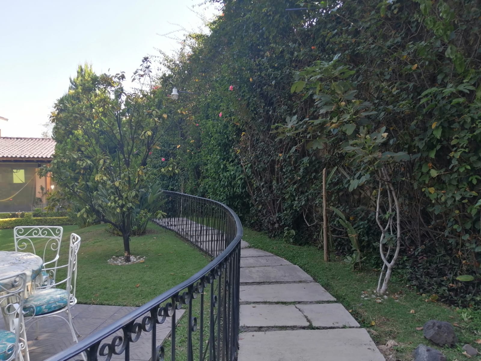 Sra. Medellin.com