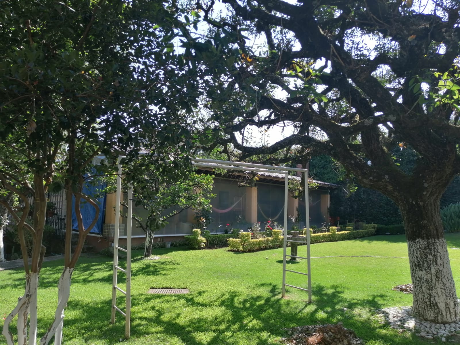 Sra. Medellin.com
