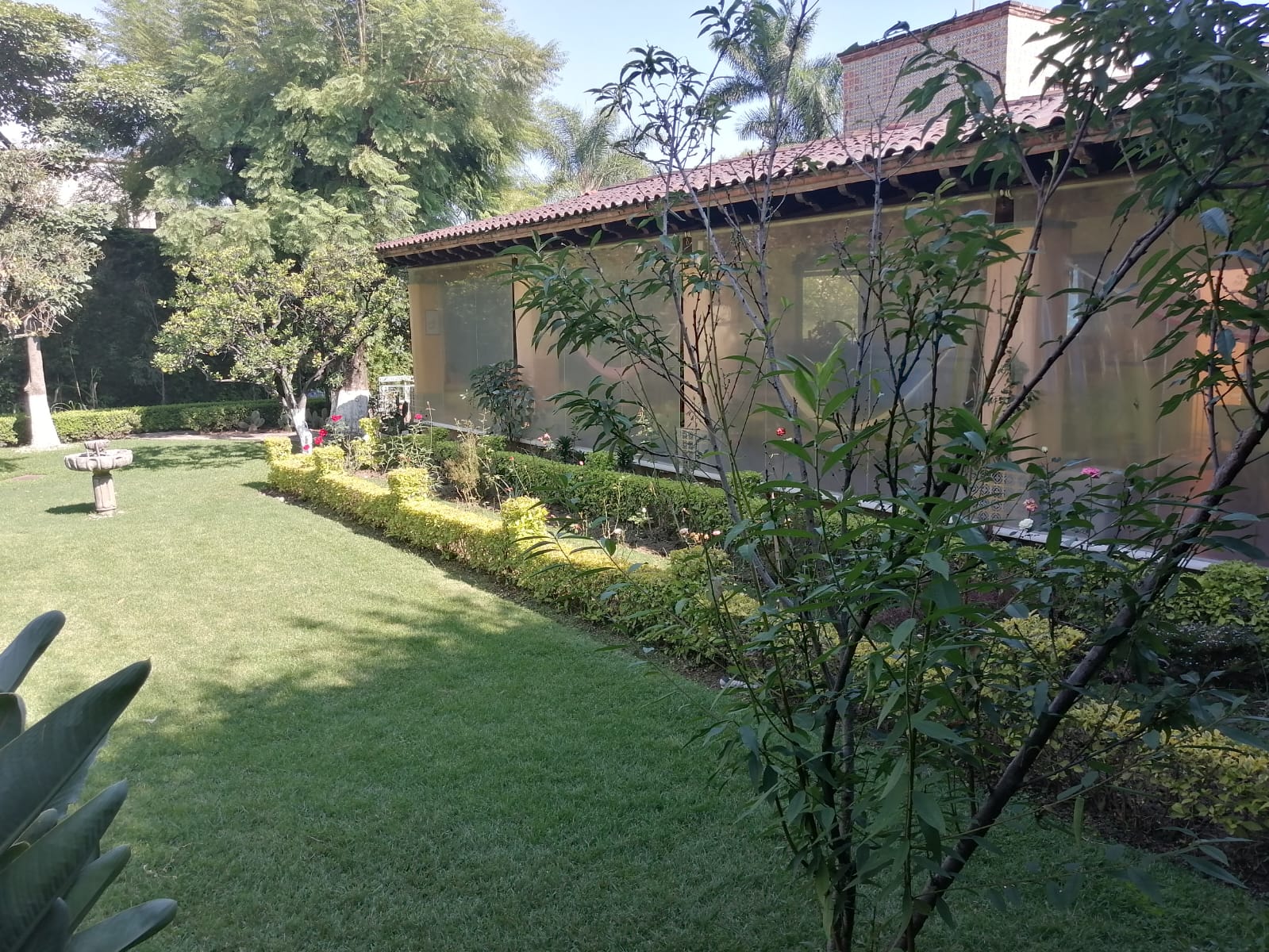 Sra. Medellin.com