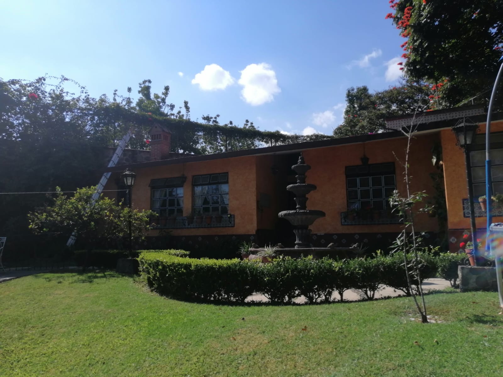 Sra. Medellin.com