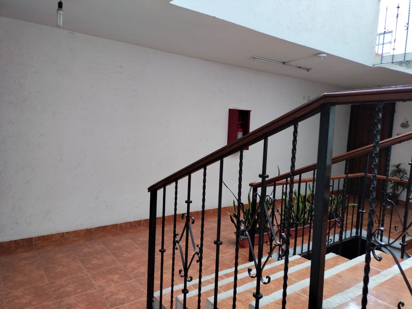 Sra. Medellin.com