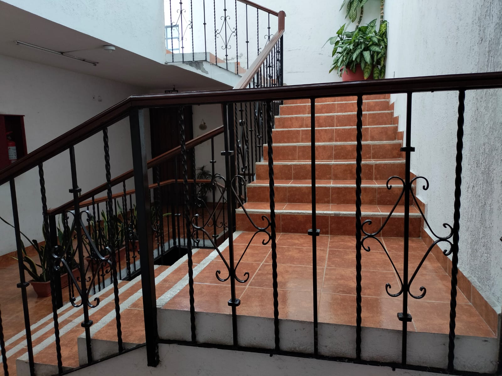 Sra. Medellin.com