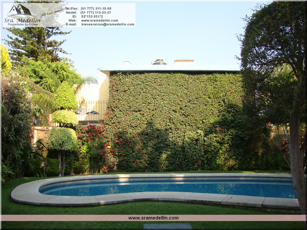 Sra. Medellin.com