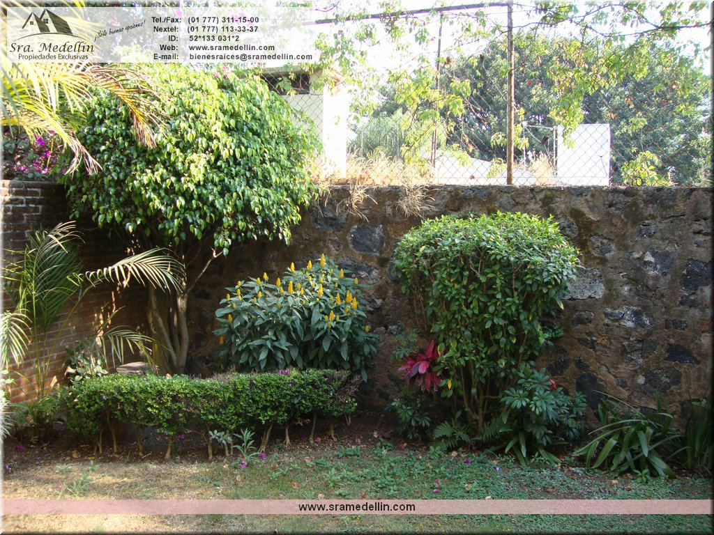 Sra. Medellin.com