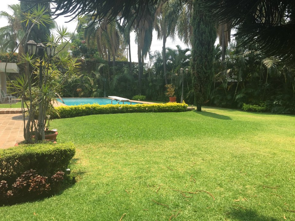 Sra. Medellin.com
