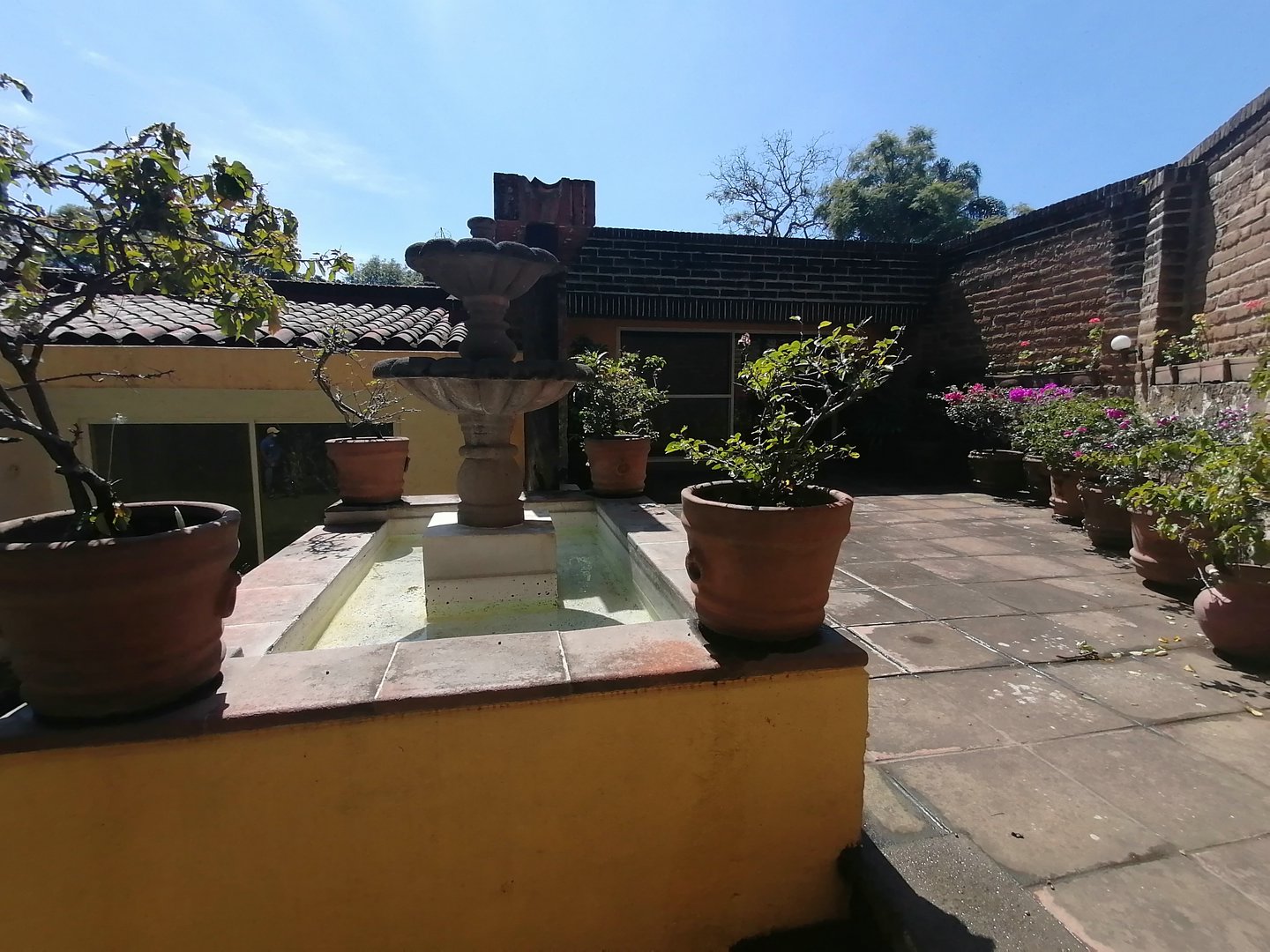 Sra. Medellin.com