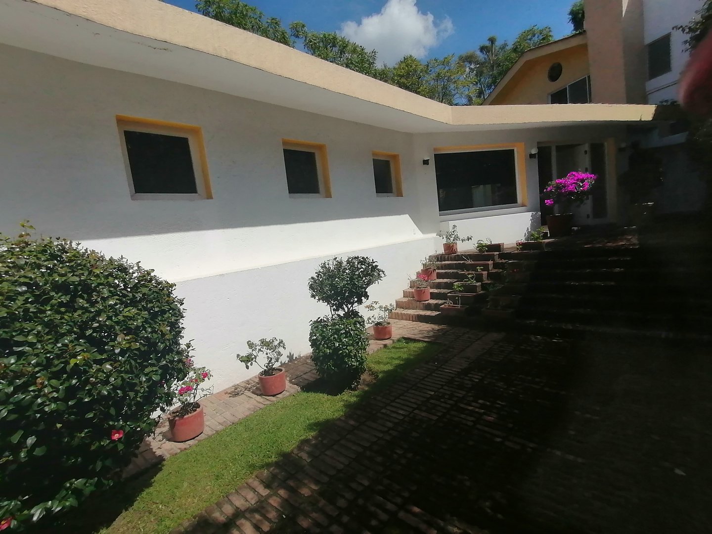 Sra. Medellin.com